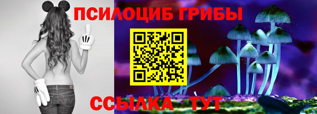 Галлюциногенные грибы Psilocybine cubensis  Вход с VPN  Ростов Великий 